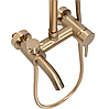 Душовий гарнітур REA LUIS BRUSHED GOLD з виливом, фото 5