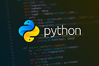 Написание Python скриптов на заказ (интерфейсы, парсеры)