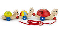 Дерев'яна каталка Черепашки Viga Toys 59949 Розвиваюча дерев'яна іграшка для прогулянок akr