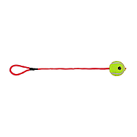 Игрушка для собак Trixie Мяч теннисный на верёвке с ручкой 50 см, d=6 см (цвета в ассортименте) m