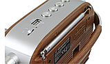 Радіоприймач Tiross TS461 від мережі та акумулятора AM, FM, SW, фото 3