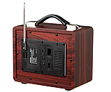 Портативное ретро радио M FM SW Retropolis Seattle Old Retro Radio Bluetooth Powerbank 1200 USB, фото 5