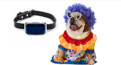 GPS-локатор для нашийника для собак та котів Mking прямокутний локатор чорний