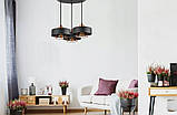 Підвісний стельовий світильник у стилі лофт Luxolar 754 E27 (3 плафони) з регулюванням висоти, фото 8