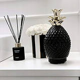 Ароматичний дифузор Mardecor Pro Pineapple GC-C20B 12 Вт, чорний, фото 3