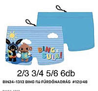 Плавки для мальчиков оптом, Disney, 2-6 лет,  № BIN24-1313