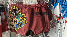 Плавки для хлопчиків оптом, Disney, 5-10 років,  № HP22-0756