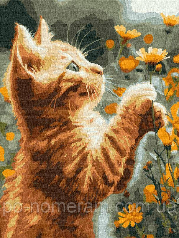 Новинка Розмальовка по номерах Ідейка Рудий пухнастик ©art_selena_ua (KHO6607) 30 х 40 см, фото 1