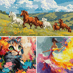 Картины по номерам купить Киев, Украина Po-Nomeram.com.ua