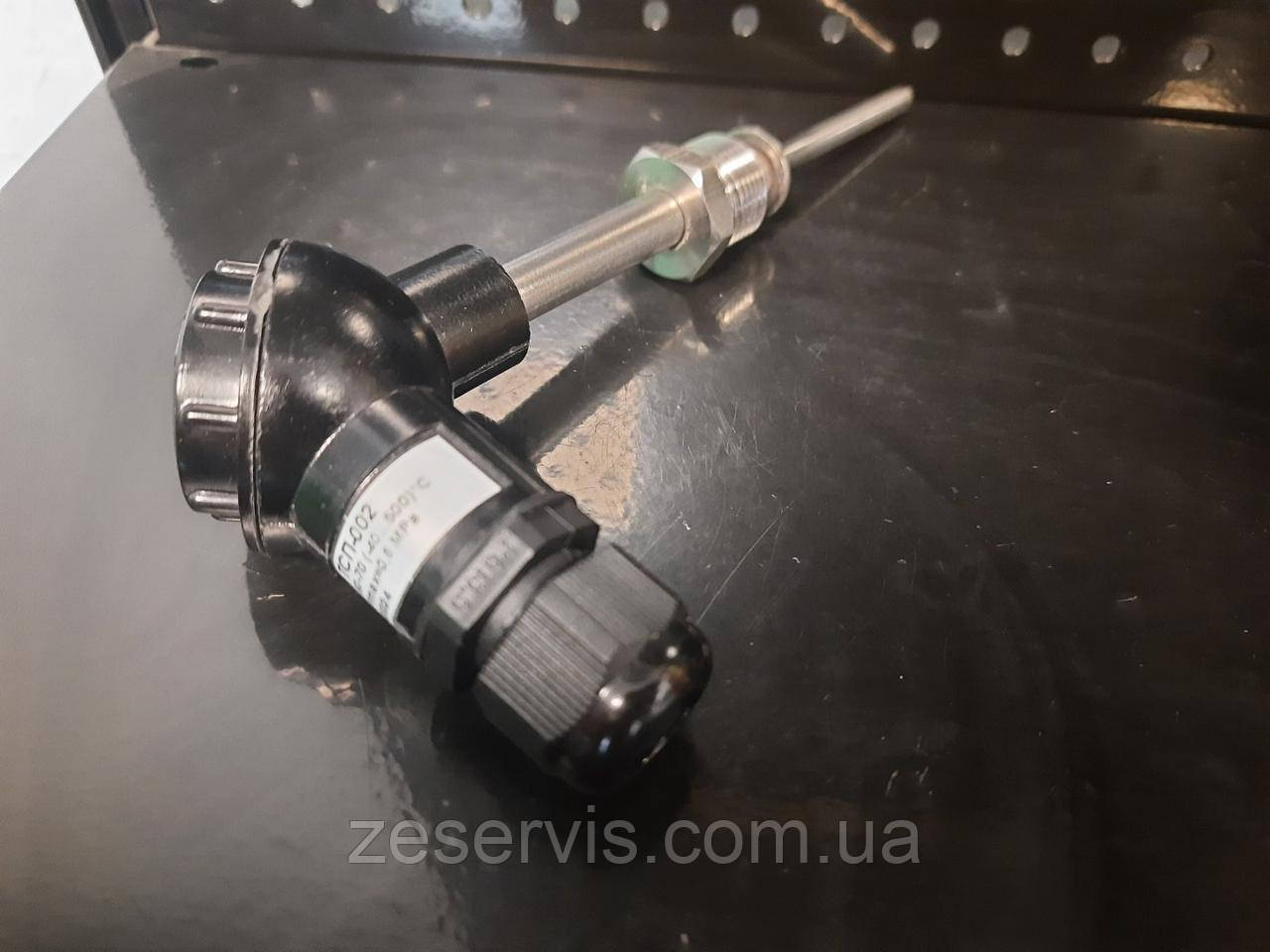 Термоперетворювач ТСП-002 Pt100-В3 D6 L60-70 М20х1,5 (-40..500), РегМік, фото 1