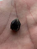 Рах-топаз камінь 24*10*8 мм. натуральний раух-топаз, фото 2