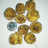 Кала Red Symphony 06/08, фото 5