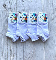 Шкарпетки жіночі літні короткі BEKI р 39-42 (1уп/12пар) "NEW SOCKS" купити гуртом в Одесі на 7 км
