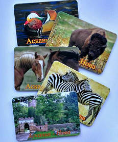 Магнитики с фото для заповедника 2