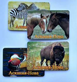 Магнитики с фото для заповедника 3