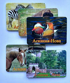 Магнитики с фото для заповедника 1
