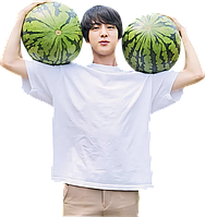 Ростова фігура  Джін