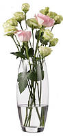 Овальная ваза для цветов и декора стеклянная, прозрачная H=26,5 см (прочная емкость для декора и сухоцветов)