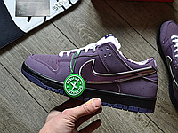 Мужские кроссовки Nike SB Dunk Low purple Lobster Найк Данк Лобстер фиолетовые