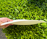 Блюдо Arcoroc Zenix Tendency сервірувальне 315 мм х 265 мм (G4373), фото 2