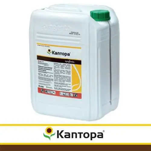 Гербіцид Каптора 20 л Syngenta, фото 1