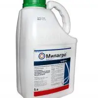 Гербіцид Мілагро 5 л, фото 1