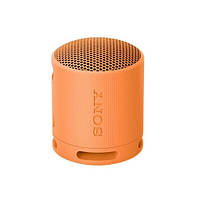 Акустика портативная Sony SRS-XB100 Orange (SRSXB100D)