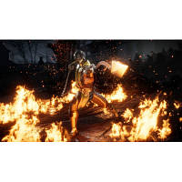 Игра Nintendo Mortal Kombat 11, картридж 5051895412237 n