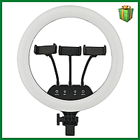 Кольцевая селфи лампа Ring Light LC-360 36 см (3 крепления), селфи лампа с пультом укр