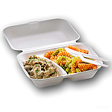 Ланч-бокс односекційний із ВВС з кришкою розмір 150х152х60 білий HP-6 250 шт/уп., фото 3