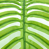 Штучне листя Engard Hawaii Palm світле, 70 см (DW-35), фото 7