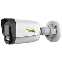 Камера видеонаблюдения Tiandy TC-C34WP