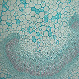 Бінокулярний Мікроскоп MR-2063B, фото 8