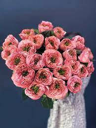 Троянда Мандарин 60 см Європейська (пачка 20 шт.)