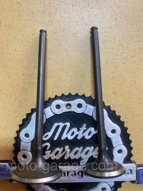 Клапана 170MM,GEON Dakar 250,TwinCam,,SHINERAY Z1,Впуск(D28, H84,5