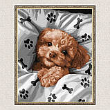 Картина за номерами Чарівний мальтіпу. Собаки 30*40 см Ідейка KHO 6538, фото 5