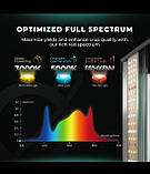 Led-фітосвітильник GROWLUMEN для рослин Samsung 301H EVO 640 W + Osram FAR RED BOOSTER, фото 9