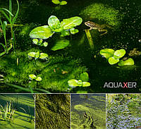 Препарат альгицид против водоростей в пруду AQUAXER Cidex Pond, 3 л, для пруда на 60000 л.
