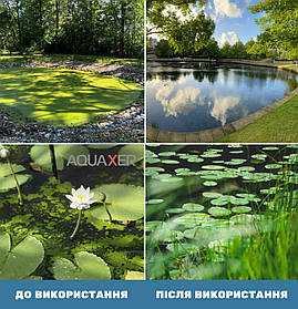 Препарат проти водоростей у ставку AQUAXER Cidex Pond, 1 л, для ставка на 20000 л.