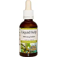 Поддержка щитовидной железы, Liquid Kelp, Natural Factors, 800 мкг йода, 50 мл