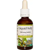 Підтримка щитовидної залози Liquid Kelp, Natural Factors, 800 мкг йоду, 50 мл