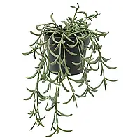 ІКЕА FEJKA Штучна рослина в горщику, кімнатна/зовнішня/Роулі старий висить, 9 см 20508408