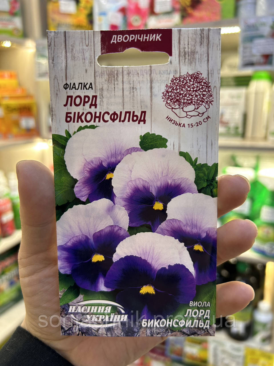 Віола Лорд Біконсфільд 0,05г НУ