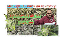 Продажа теплиц 1480 кв.м.г. Бровары Киевская область