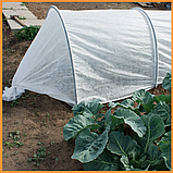 Агроволокно Shadow 42г/кв.м спанбонд для захисту рослин і теплиць 1.6х100 м Білий, фото 8