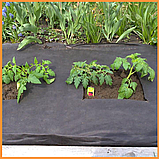 Агроволокно Shadow з посиленим краєм 90г/кв.м для захисту рослин 1.6х50 м Чорний, фото 8