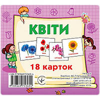 Развивающие карточки для детей Цветы J012y, 18 картинок