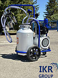 Доїльний апарат для доїння корів Most, Barbaros Motor TK 1-AK, фото 3