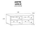 Журнальний столик ANETTE M чорний мат/дуб артисан BIM Meble, фото 8