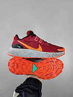 Мужские кроссовки Nike Pegasus Trail 3 Burgundy Orange Grey